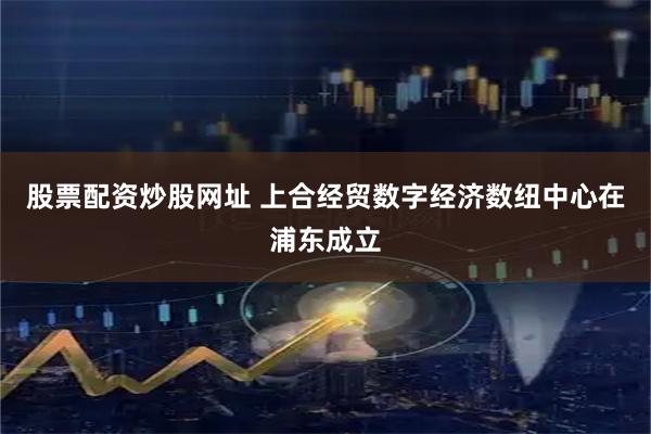 股票配资炒股网址 上合经贸数字经济数纽中心在浦东成立