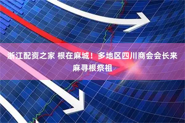 浙江配资之家 根在麻城！多地区四川商会会长来麻寻根祭祖