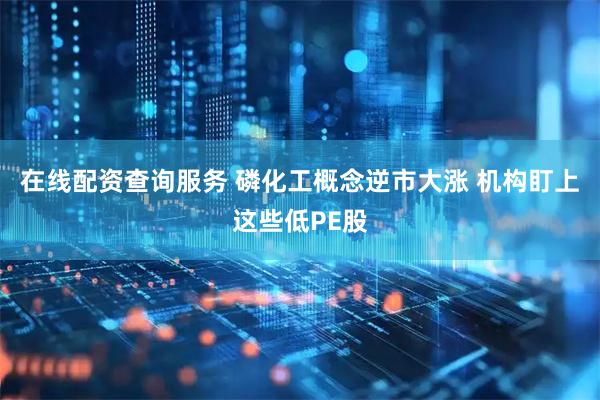 在线配资查询服务 磷化工概念逆市大涨 机构盯上这些低PE股